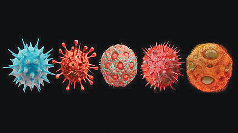 Universal Vaccine |