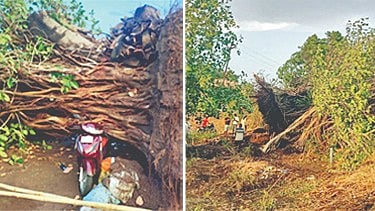 Satara Rain: वाईच्या पूर्व भागाला पावसाचा तडाखा 