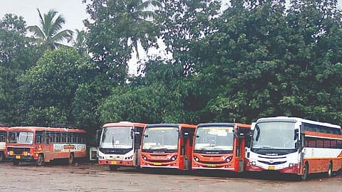 ST Bus News