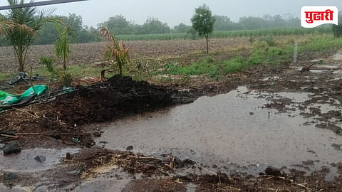 Pre monsoon rain in Parbhani | पूर्णा तालूक्यात मान्सूनपूर्व पाऊसाला जोरदार सुरुवात; उष्णता उकाड्यापासून दिलासा