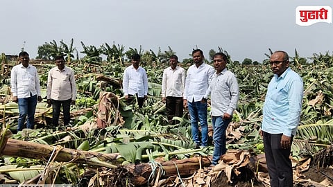 Parbhani Heavy Rain Farmer Crop Damage