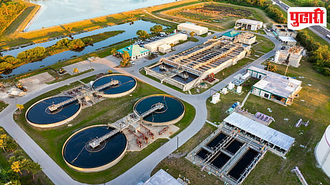 Water Plant