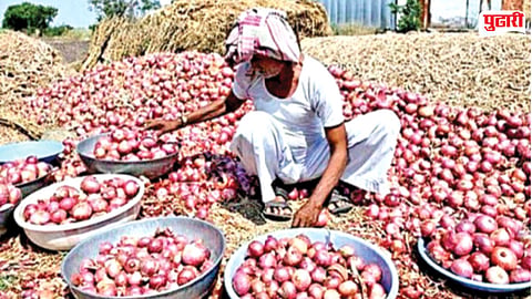 Onion Procurement