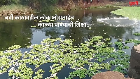 Panchganga river pollution