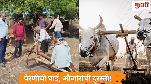 पेरणीच्या हंगामात सुतारांकडे वाढली शेतकऱ्यांची वर्दळ! 