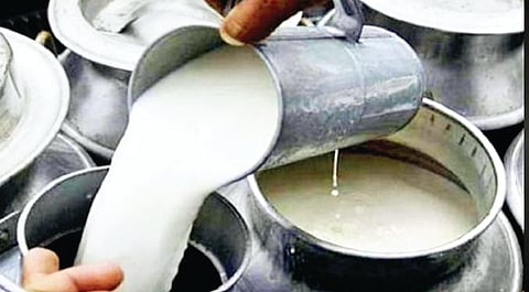 Solapur dairy industry: दूध उत्पादकांना मिळणार नवसंजीवनी 