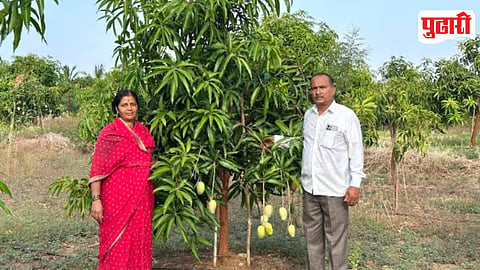 Progressive Farmer Success Story