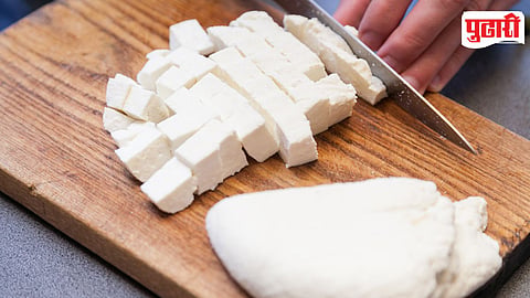 Paneer