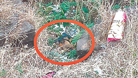 Sindhudurg Crime News