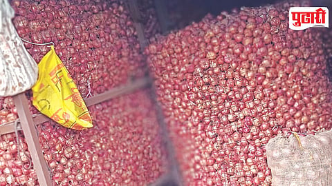 Onion Storage Loss