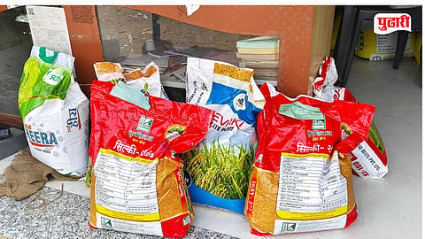 Paddy Seed Price Hike