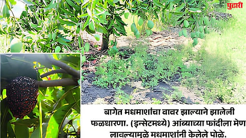Latur News