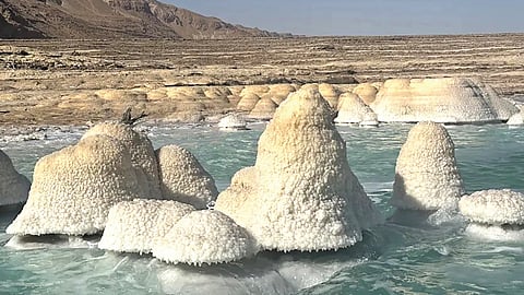 Climate Change Impact 