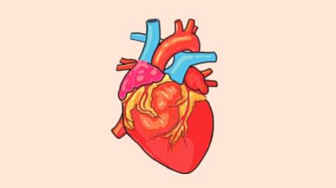 Medical Breakthrough Treatment 
