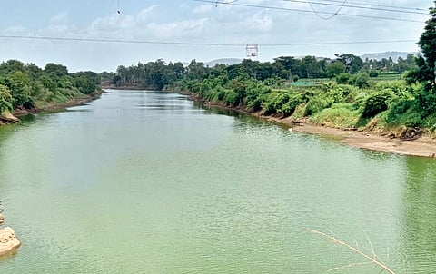 Krishna River Pollution