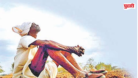 Jalna Agriculture News