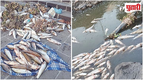 Indrayani River Pollution