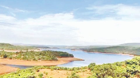 Maharashtra Water Crisis |