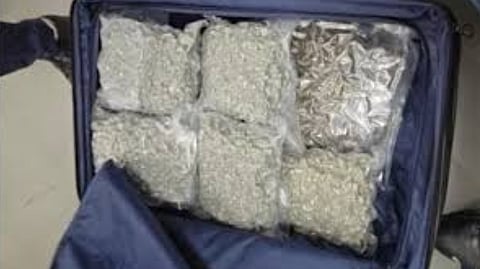 Bengaluru Ganja Seizure | बंगळुरात १३.१४ कोटींचा गांजा जप्त