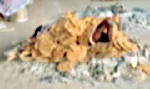 Panchganga Crematorium Case | 