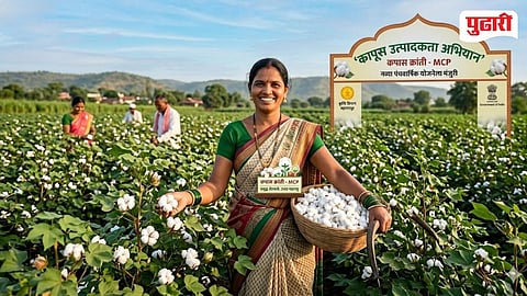 Kapas Kranti