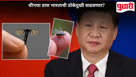 China Mosquito Drone