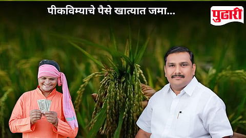 Farmer Crop Insurance