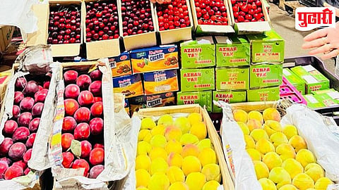 Hill Fruits Market