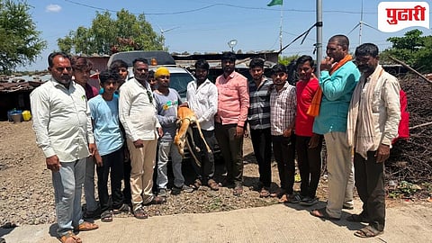 Beed News | केज तालुक्यातील शिंदी येथे कुत्र्याच्या हल्ल्यात हरीण जखमी! 