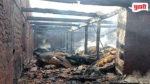 Ratnagiri Fire Accident | राजवेलमध्ये आगीचा भडका; 17 मुक्या जीवांचा होरपळून मृत्यू