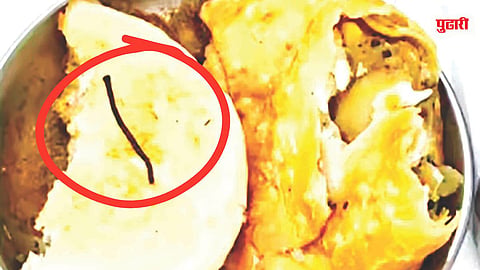 Iron Nail Found in Samosa
