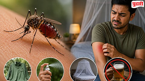 Mosquito attraction science 