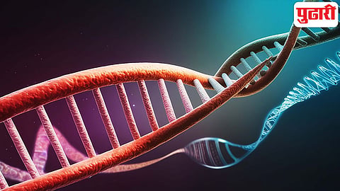 Chromosome