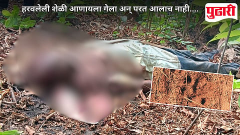 Tiger Attack On Farmer