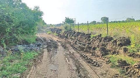 Solapur News: कारी ते टोणेवाडी रस्ता अज्ञात इसमाने खोदल्‍याने नागरिकांची गैरसोय