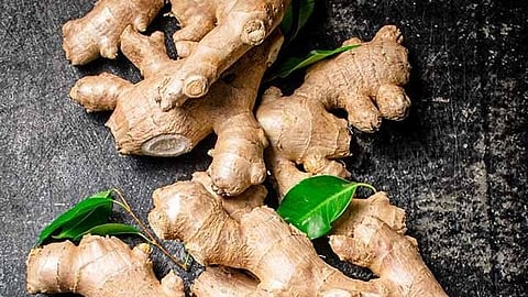 Ginger