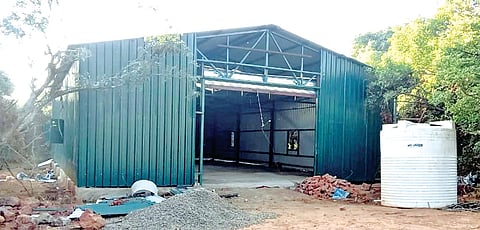 Mahabaleshwar golf course: ‘गोल्फ कोर्स' प्रकरणी मुख्याधिकारी संशयाच्या भोवऱ्यात