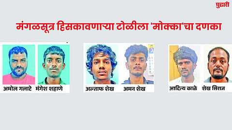 Crime News : मंगळसूत्र हिसकावणाऱ्या टोळीला 'मोक्का'चा दणका