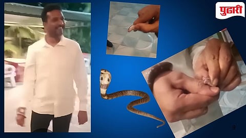 Cobra cub Bite | नागाच्या पिलाशी मस्ती नडली, हैदराबादमध्ये ३० वर्षीय व्यावसयिक गेला जिवानिशी! (Video)