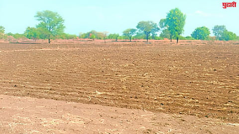 Farmers Worried