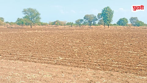Pachod Rain News