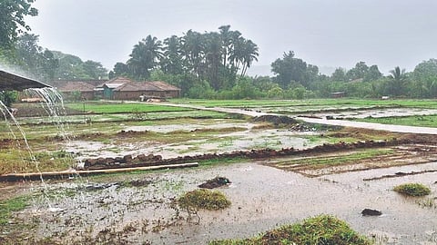 Sindhudurg News 
