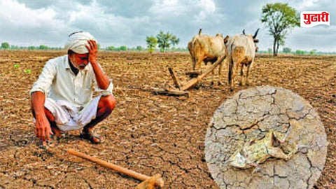 Beed Farmer Crisis