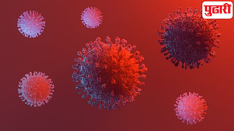 Influenza