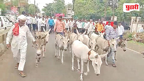 Donkey March Protest