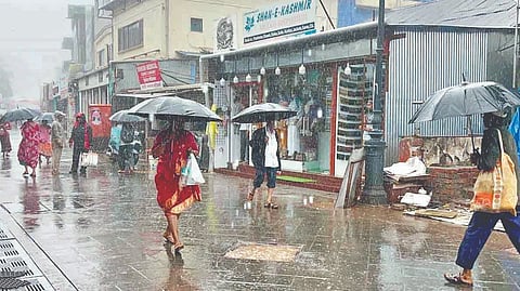 Mahabaleshwar heavy rainfall: महाबळेश्‍वरमध्‍ये पावसाची दमदार हजेरी