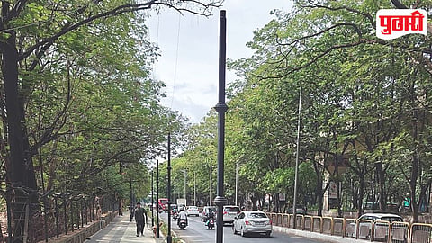 Pimpri Street Light Theft