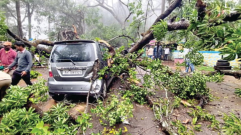 Panchgani: काळ आला होता, पण वेळ आली नव्हती; कारवर दोन झाडे कोसळली 