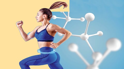 Metabolism and Fitness |