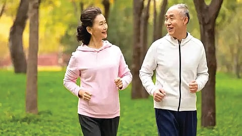 Japanese Healthy Habits |